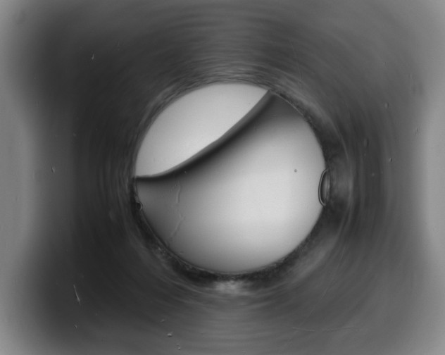 X0000100310216200806051335