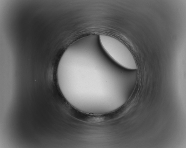 X0000100310217200806051335