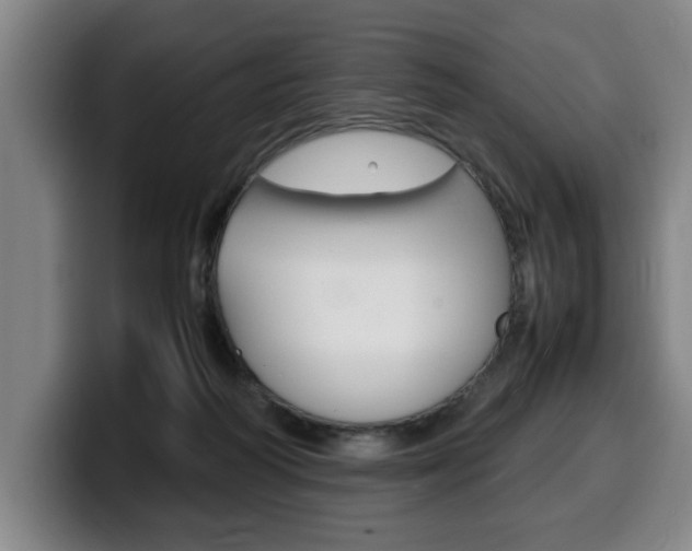 X0000100310218200806051335