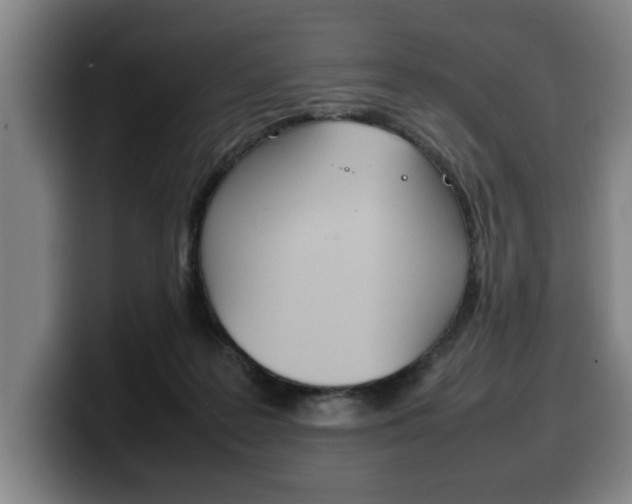 X0000100310219200806051335