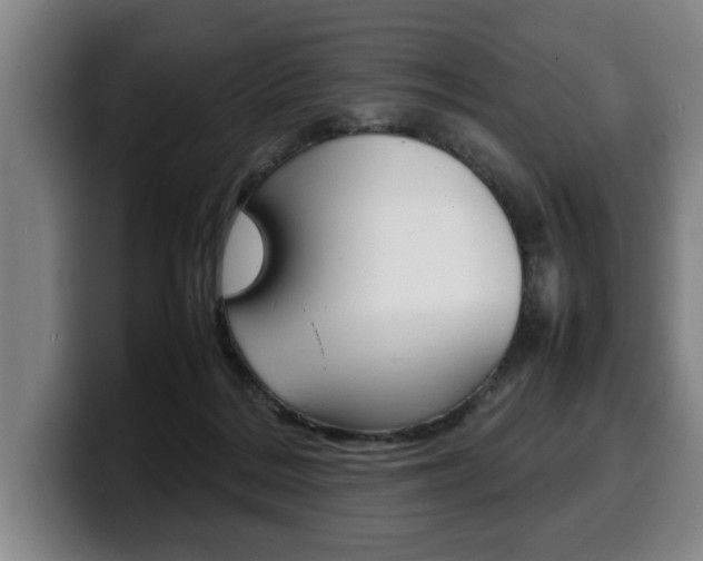 X0000100310220200806051335