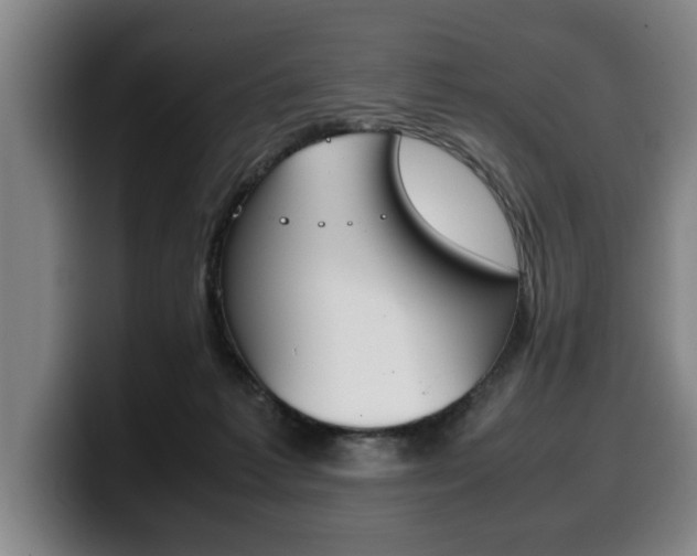 X0000100310221200806051335