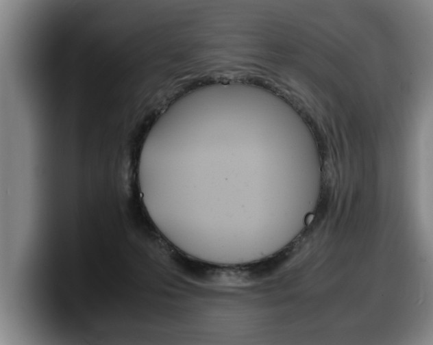 X0000100310223200806051335