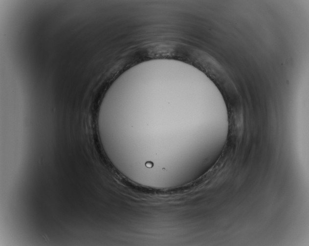 X0000100310224200806051335