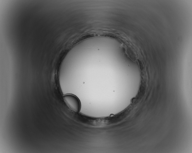 X0000100310225200806051335