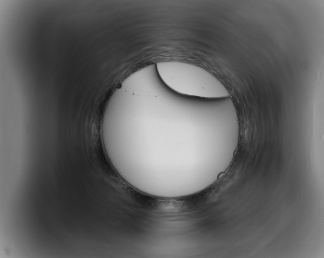 X0000100310226200806051335
