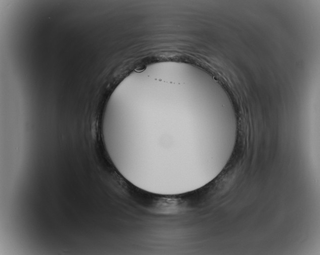 X0000100310227200806051335