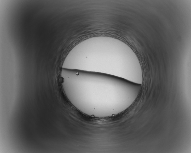 X0000100310229200806051335