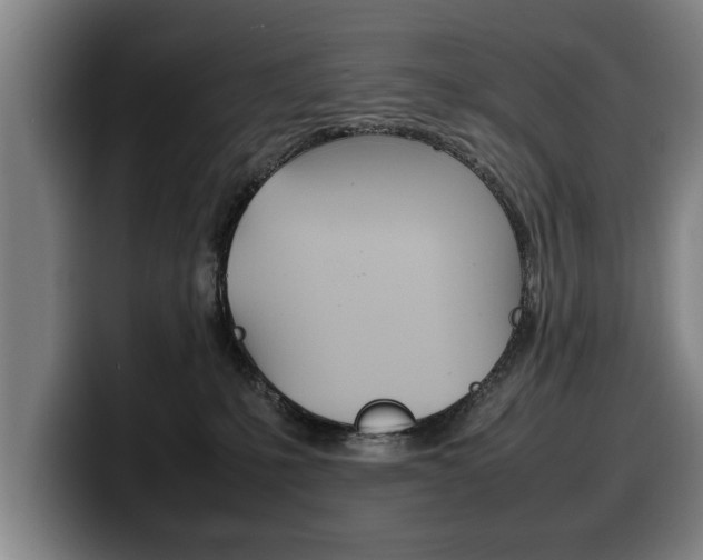 X0000100310231200806051335