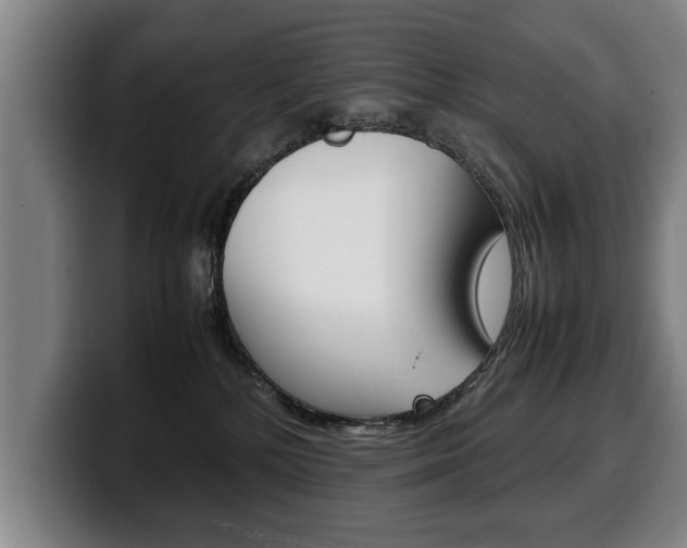 X0000100310232200806051335