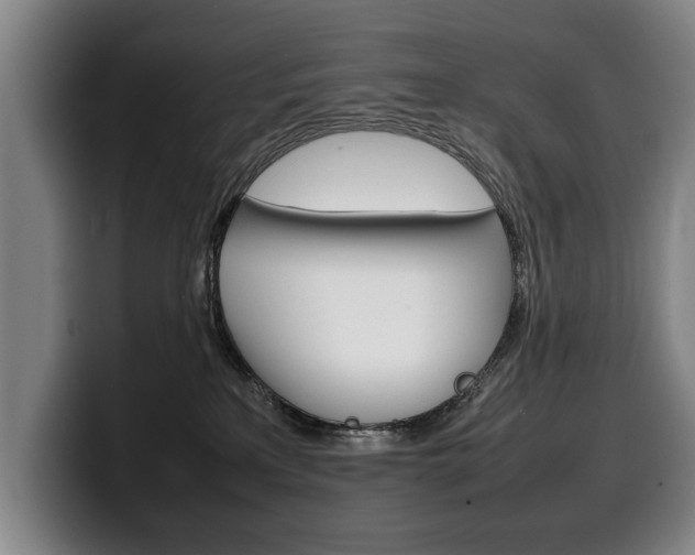 X0000100310233200806051335