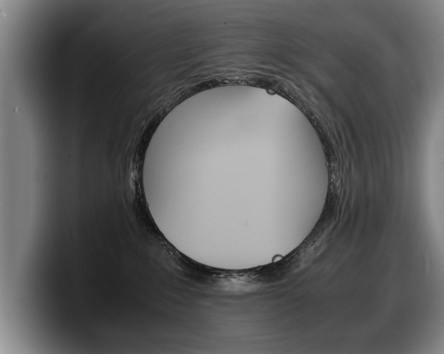X0000100310235200806051335
