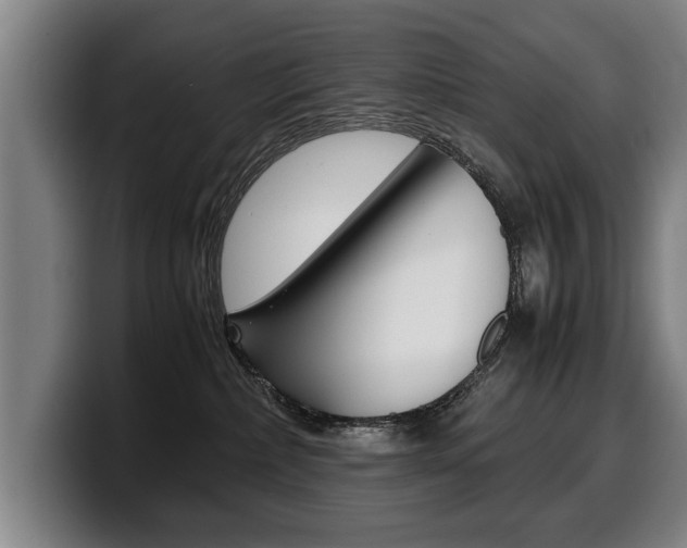 X0000100310236200806051335