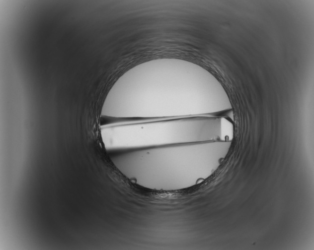 X0000100310237200806051335
