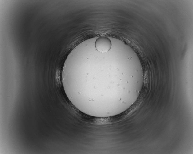 X0000100310238200806051335