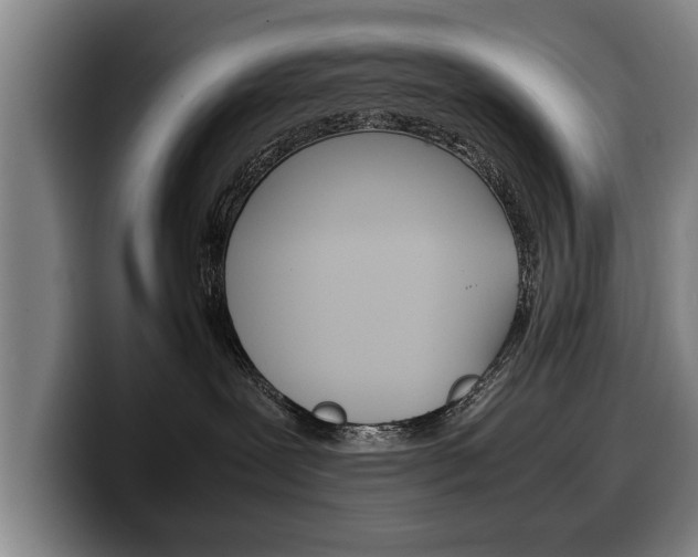 X0000100310239200806051335