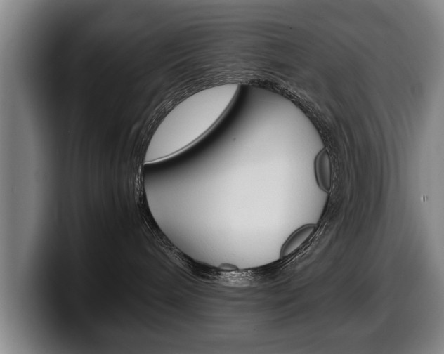 X0000100310240200806051335