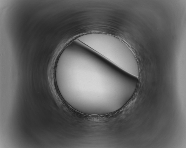 X0000100310241200806051334