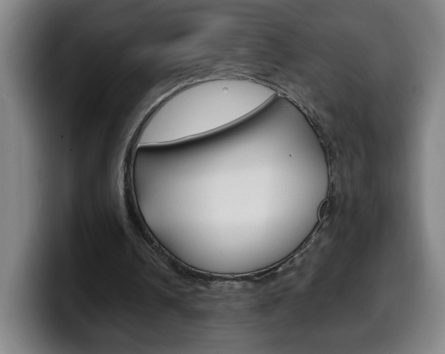 X0000100310242200806051334
