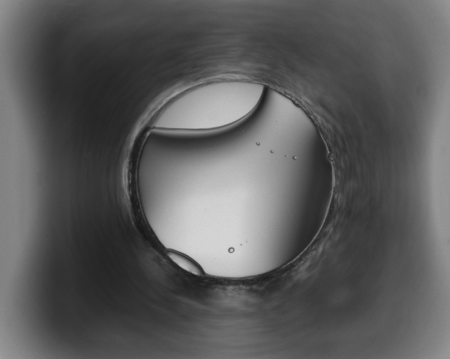 X0000100310244200806051334