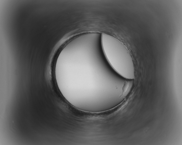 X0000100310246200806051335