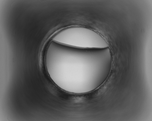 X0000100310247200806051335