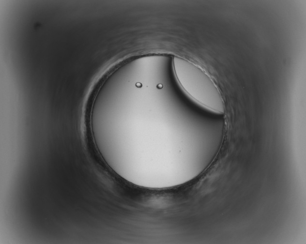 X0000100310248200806051335