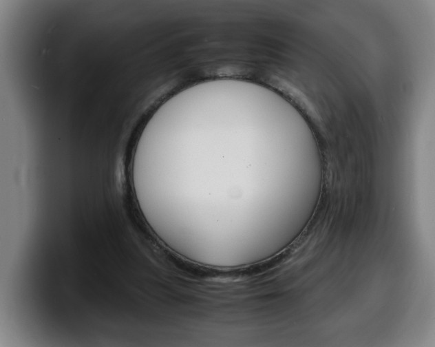 X0000100310251200806051335