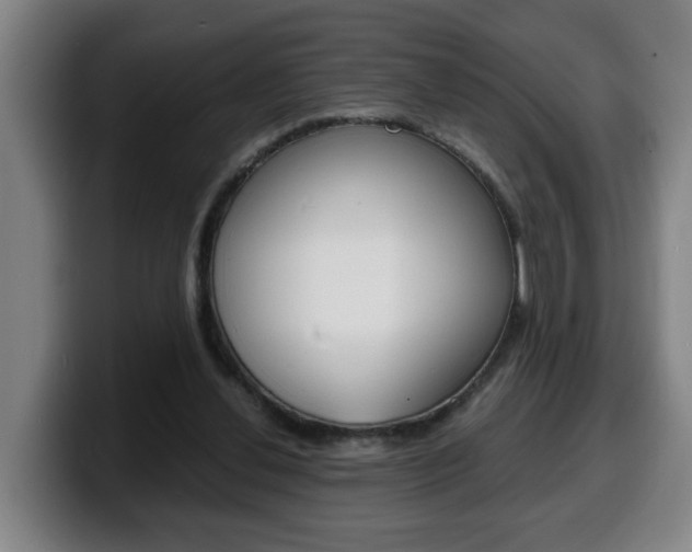 X0000100310252200806051335