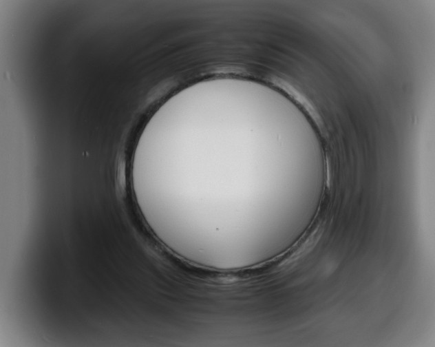 X0000100310253200806051335