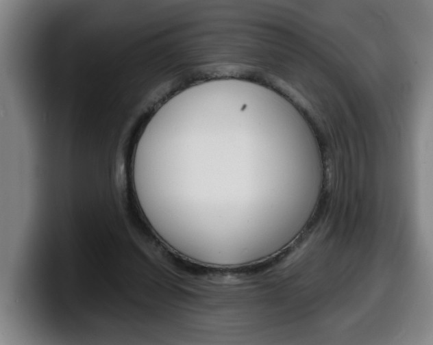 X0000100310254200806051335