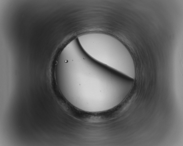 X0000100310256200806051335