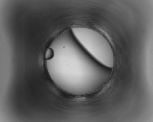 X0000100310257200806051335