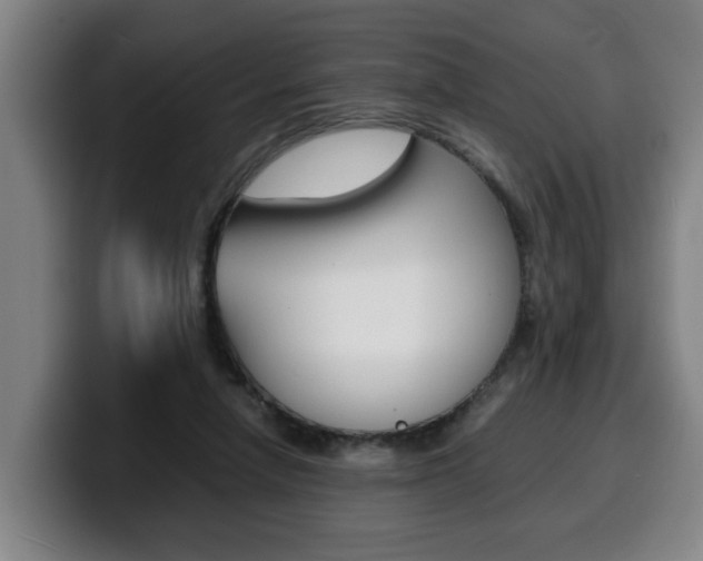 X0000100310258200806051335