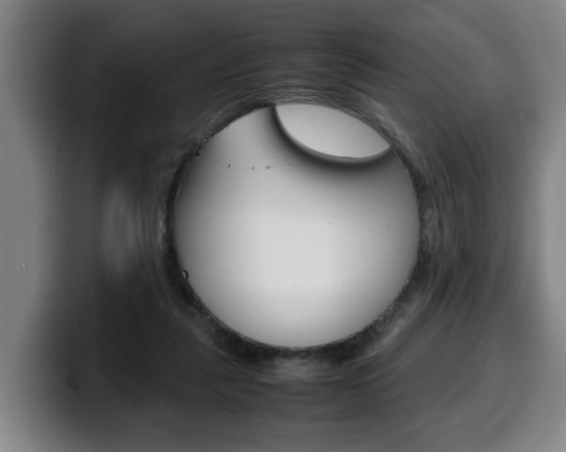 X0000100310259200806051335
