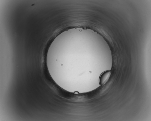 X0000100310260200806051335