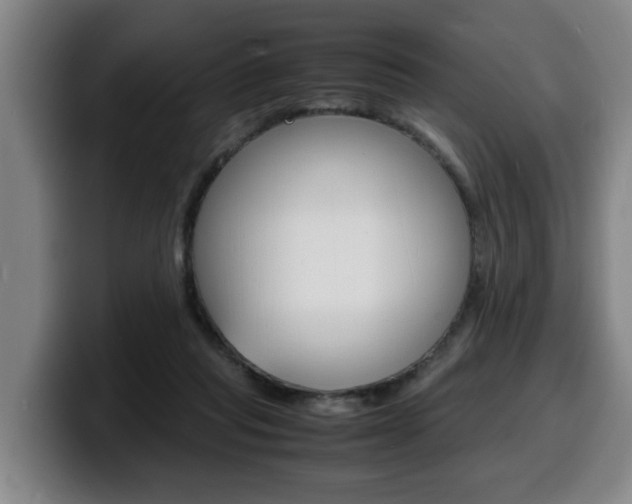 X0000100310261200806051335
