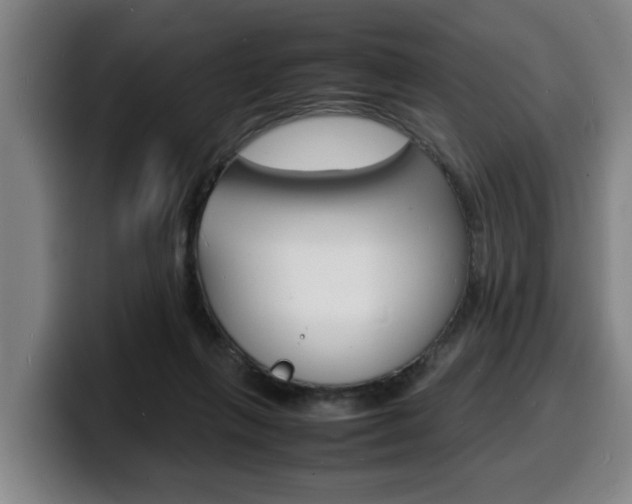 X0000100310263200806051335