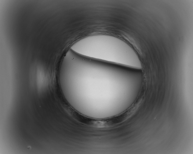 X0000100310265200806051335