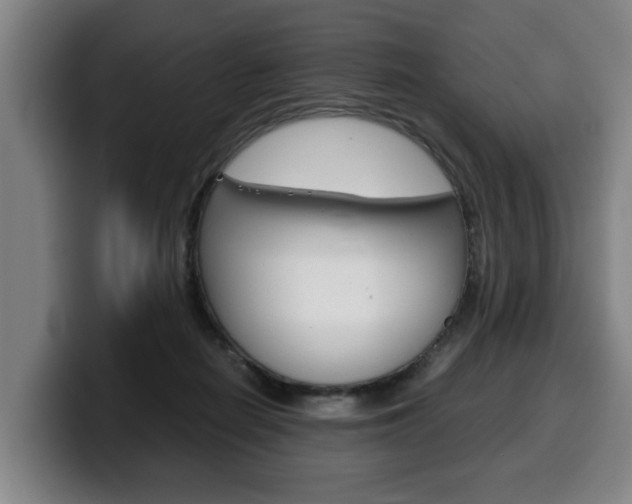 X0000100310266200806051335