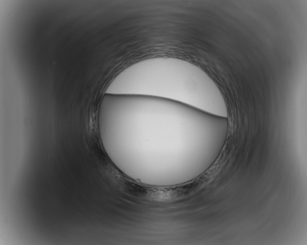 X0000100310276200806051335