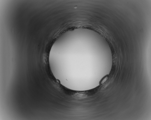 X0000100310280200806051335