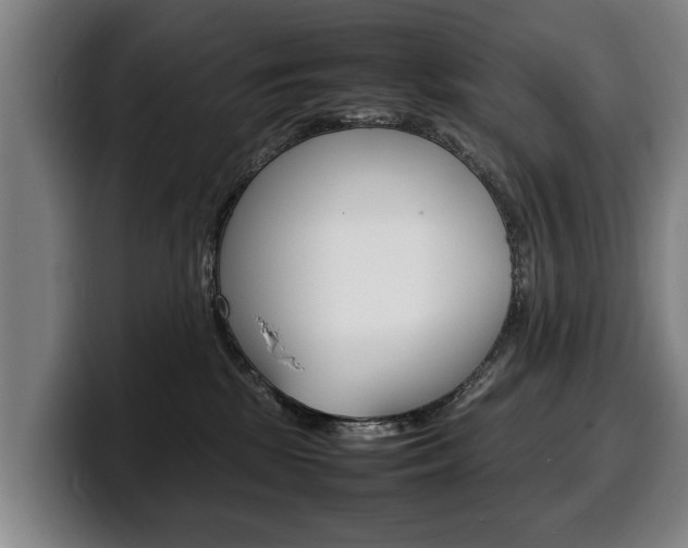 X0000100310281200806051335