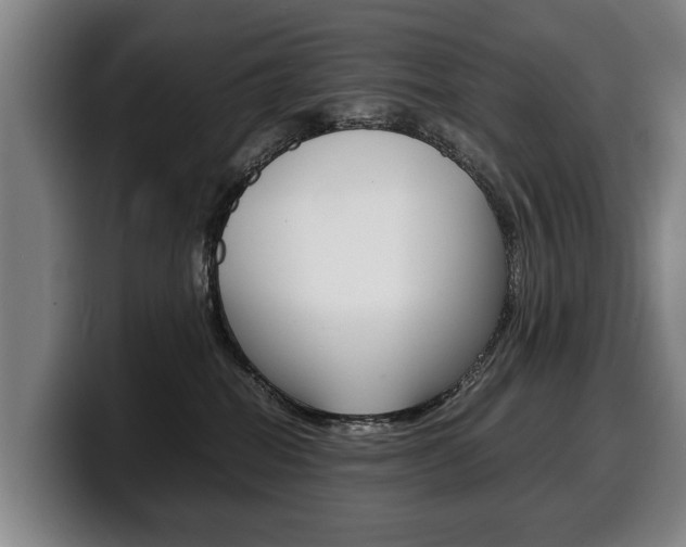 X0000100310282200806051335