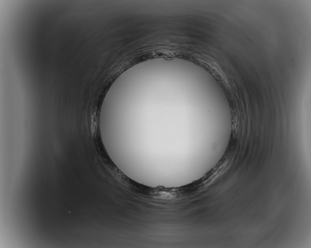 X0000100310285200806051335
