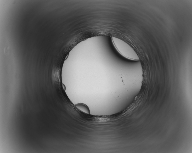 X0000100310286200806051335