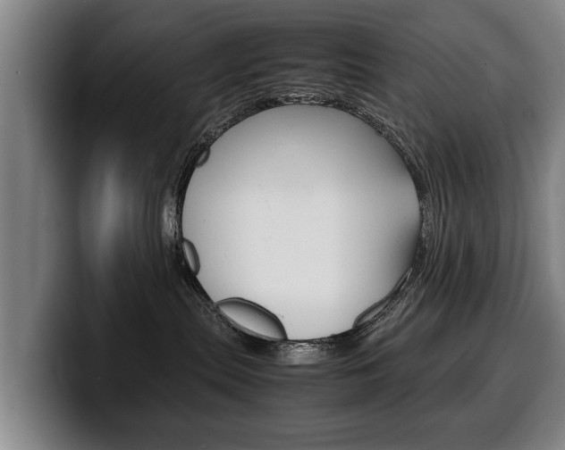 X0000100310287200806051335