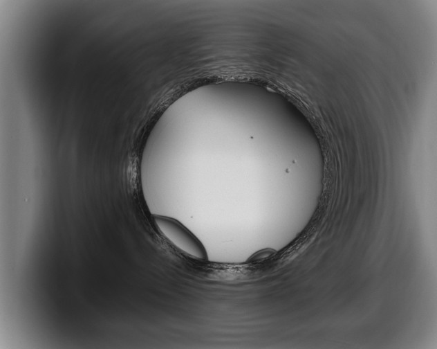 X0000100310288200806051335