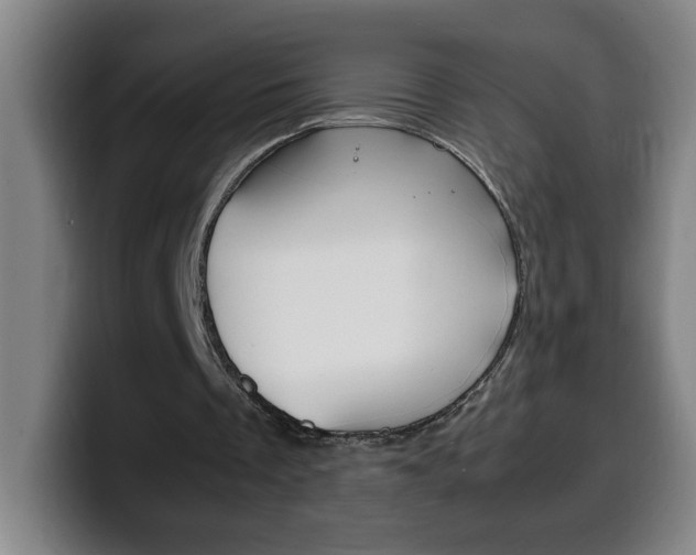 X0000100310289200806051334