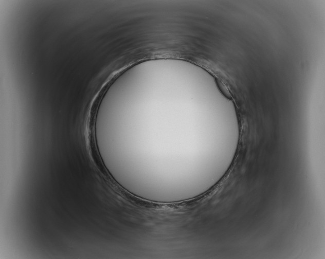 X0000100310290200806051334